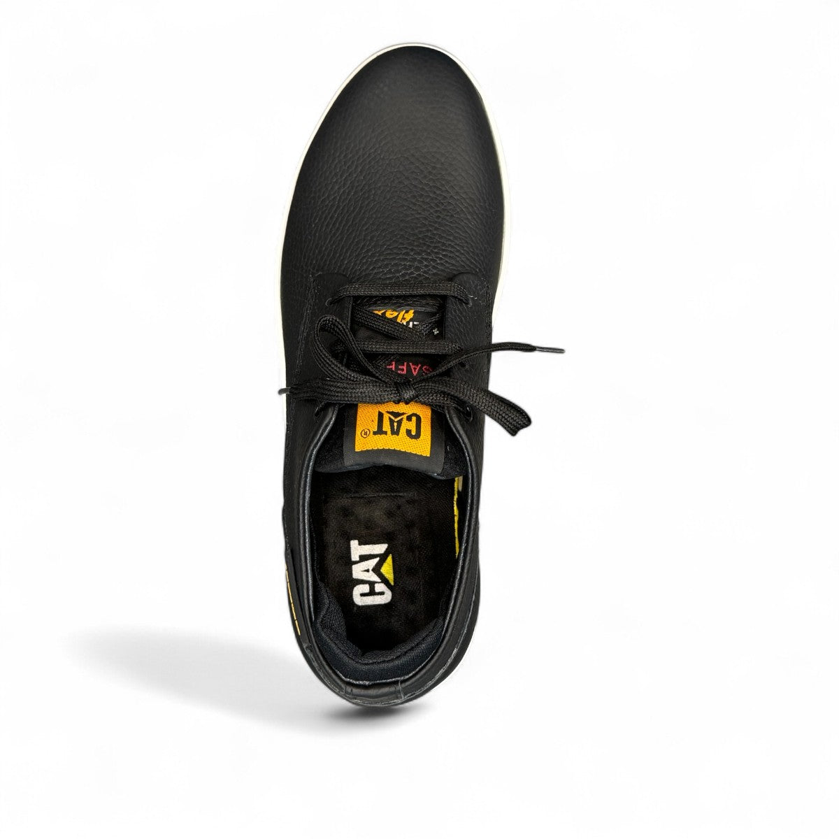 CAT PEDRAM BLACK