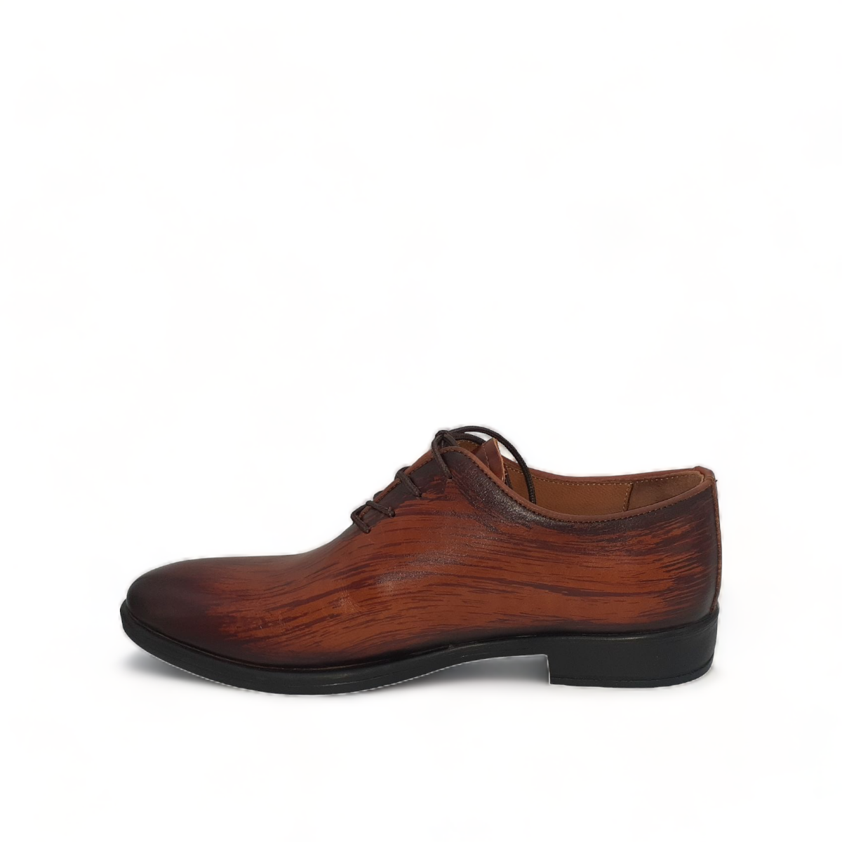 ATROPAT KELLYI BROWN