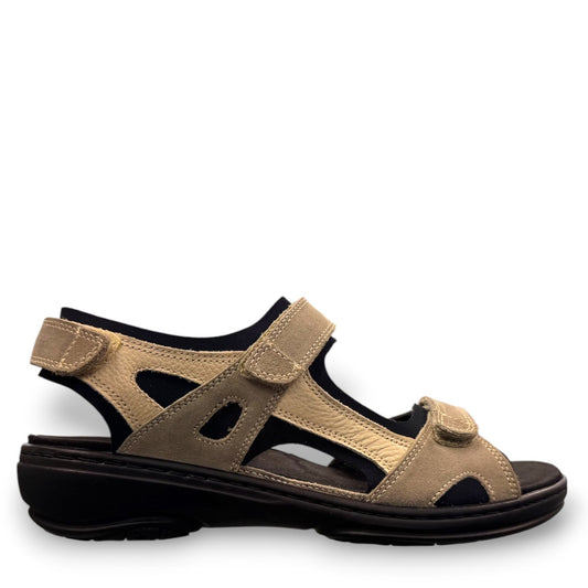 FIDELIO GINI G - FANGO