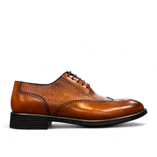 Sun Hesamak brown leather shoe with lace-up closure, textured side panel, and detailed stitching. Photo of left side view.