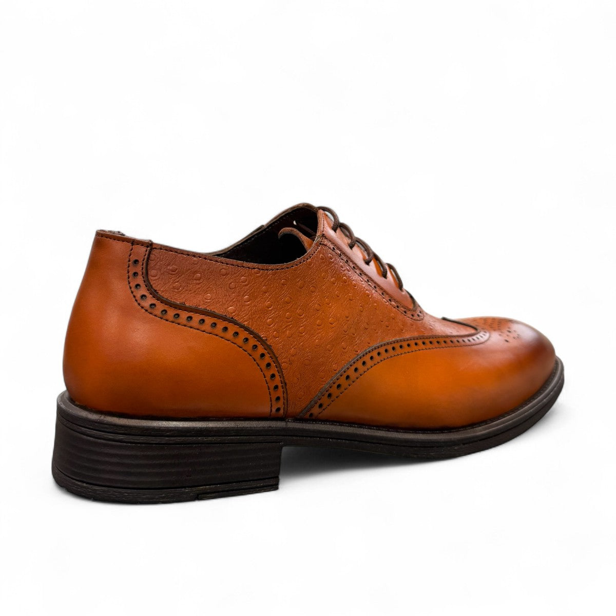 Sun Hesamak brown leather shoe with lace-up closure, textured side panel, and detailed stitching. Photo of back view.