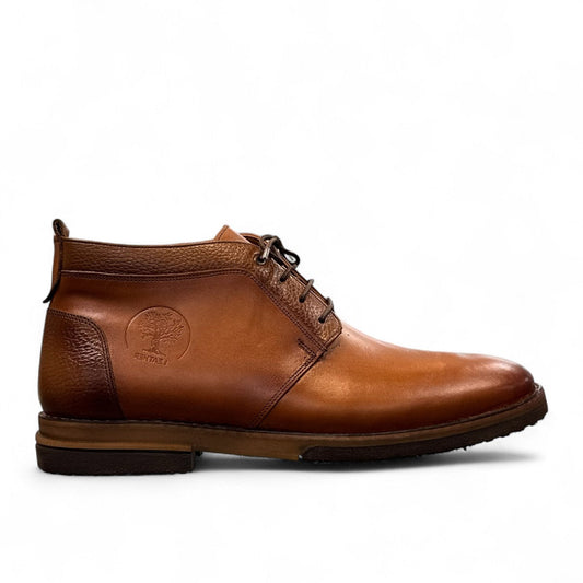 Benelli Shira brown leather men's lace-up ankle boots with a rubber outsole and embossed tree logo. Photo of right side view.