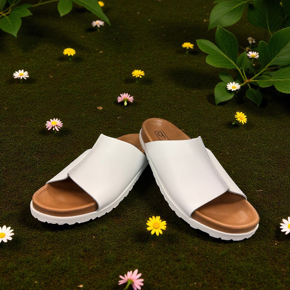 BIOTIME ELDORA WHITE