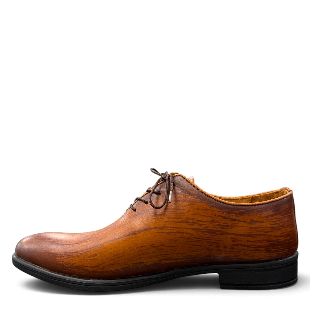 ATROPAT KELLYI BROWN