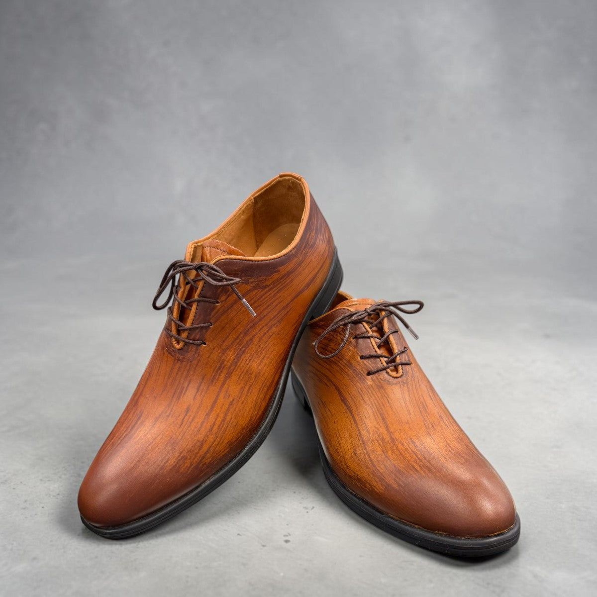 ATROPAT KELLYI BROWN