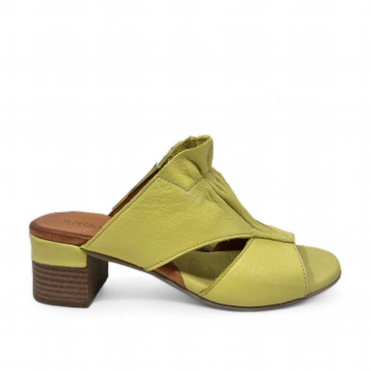 ROAMERS ZOLA - PISTACHIO