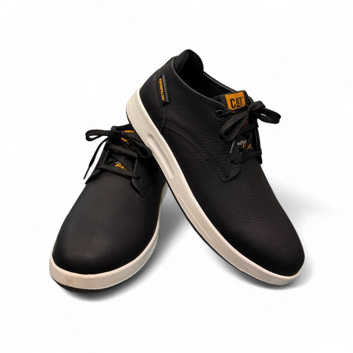CAT PEDRAM BLACK