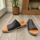 Roamers Jude low heel sandal in black and tan leather with a side buckle and open toe design.
photo of the front side
