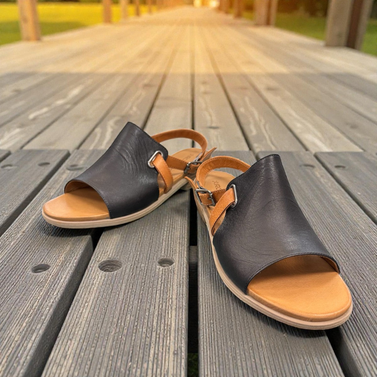 Roamers Jude low heel sandal in black and tan leather with a side buckle and open toe design.
photo of the front side