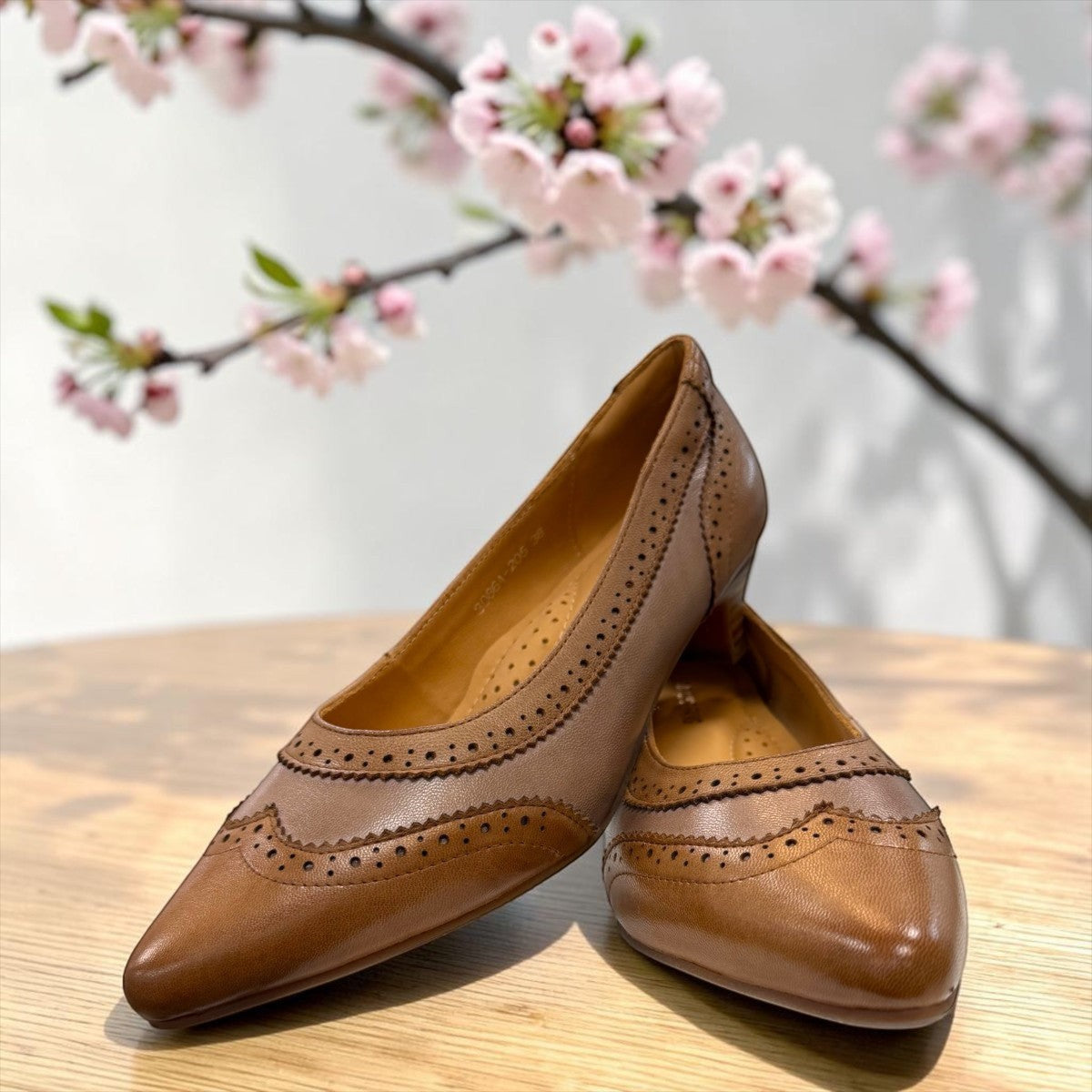 Sina Footwear tan leather pump with pointed toe, brogue-inspired perforated details, and a low block heel.
photo of the front side