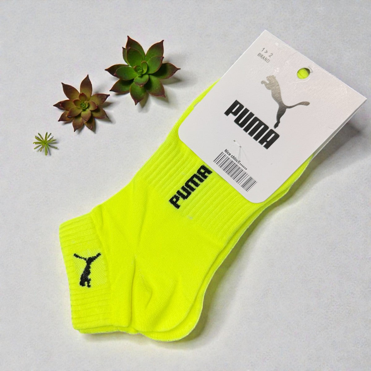 SINA FOOTWEAR SHAHRZAD UNISEX SOCKS - GREEN